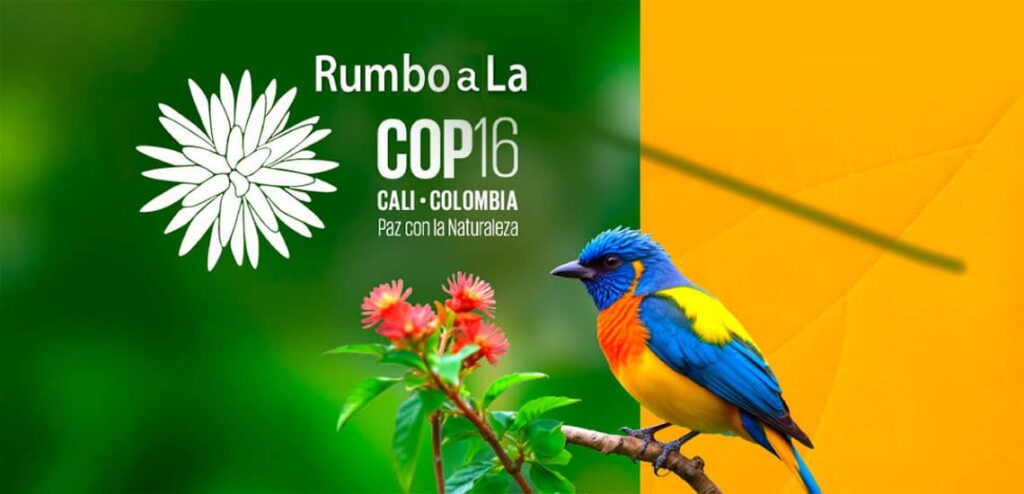 ¿Qué es la COP16?