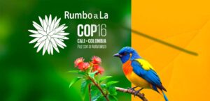 ¿Qué es la COP16?